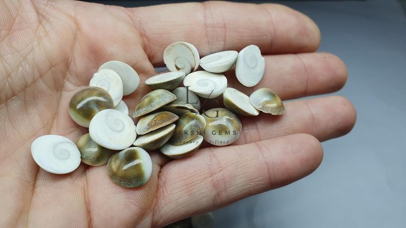 il_794xN.5487517548_suh5