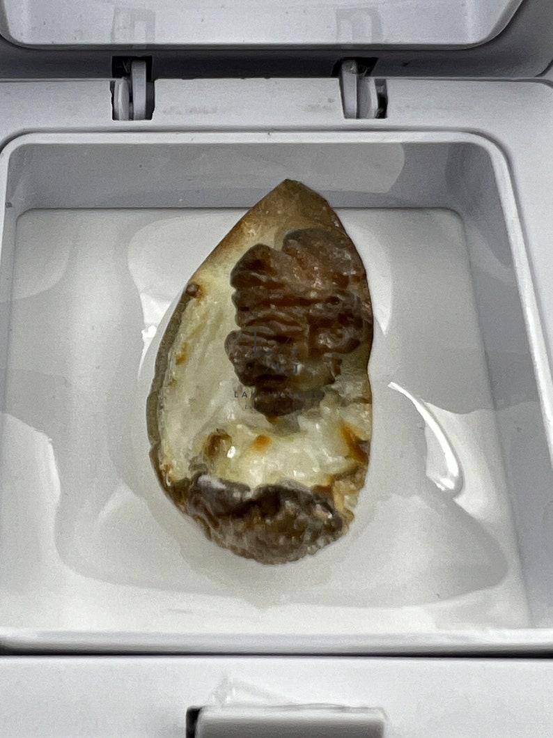 il_794xN.5841780256_7p8o