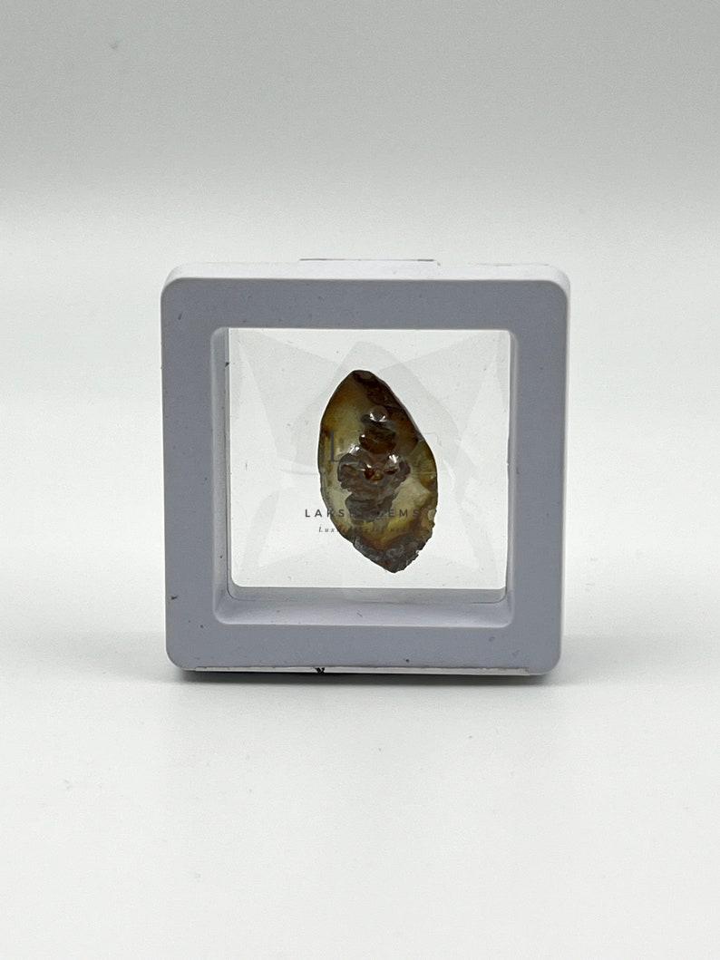 il_794xN.5841781434_co4t