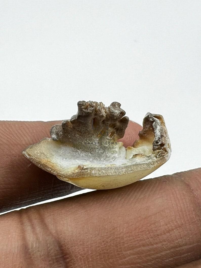 il_794xN.5841782394_3xap