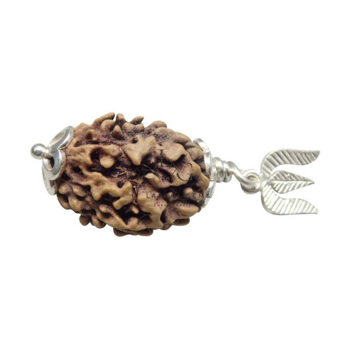 51iRSXBVA9L._UL1000_700x933