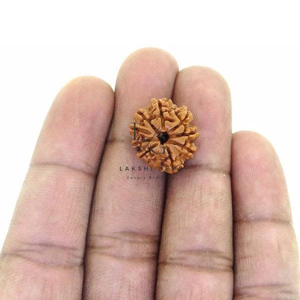 Untitled-2021-03-08T102122.487_700x933