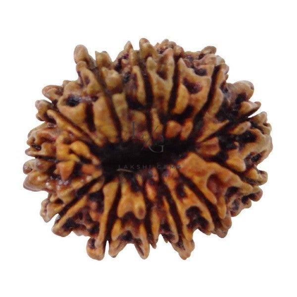 Untitled-2021-03-08T105939.155_700x933