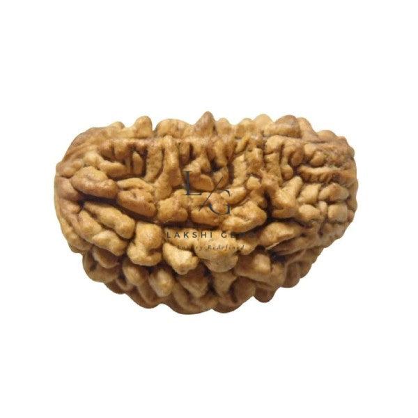 Untitled-2021-03-08T112201.209_700x933