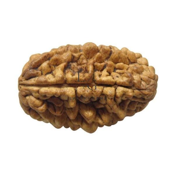 Untitled-2021-03-08T112229.446_700x933