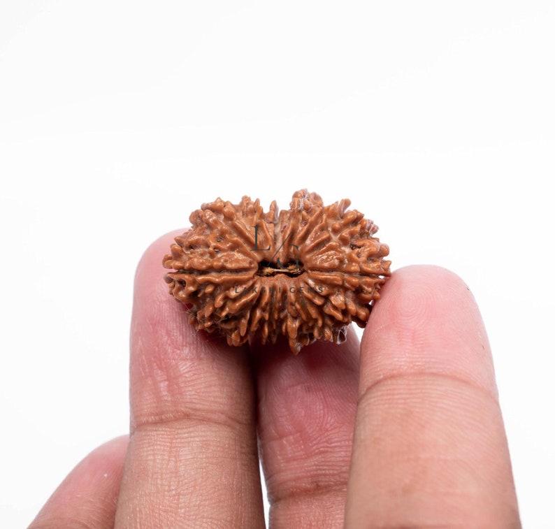 il_794xN.6488270740_n0nw