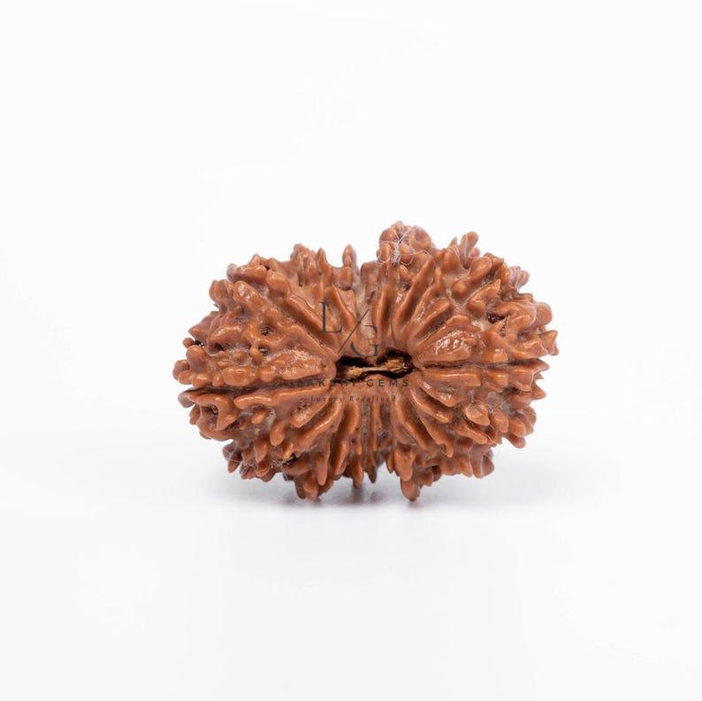 il_794xN.6536383965_hipl (1)